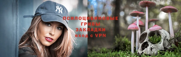 герыч Алзамай