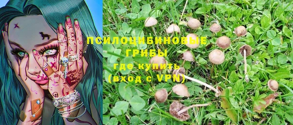 герыч Алзамай