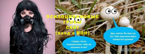 амф Алексин