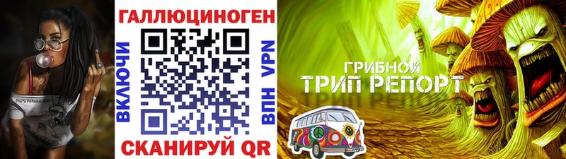Псилоцибиновые грибы Psilocybine cubensis  Купить где  Волжский 